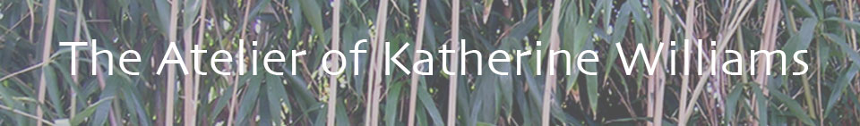the poetry of katherine williams